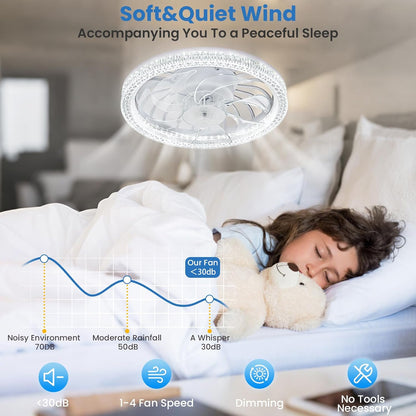 Lumifan Pro Light Fan