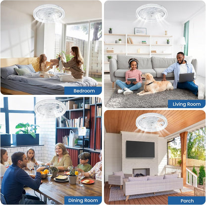 Lumifan Pro Light Fan