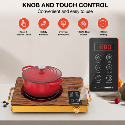 Electric Induction Cooker