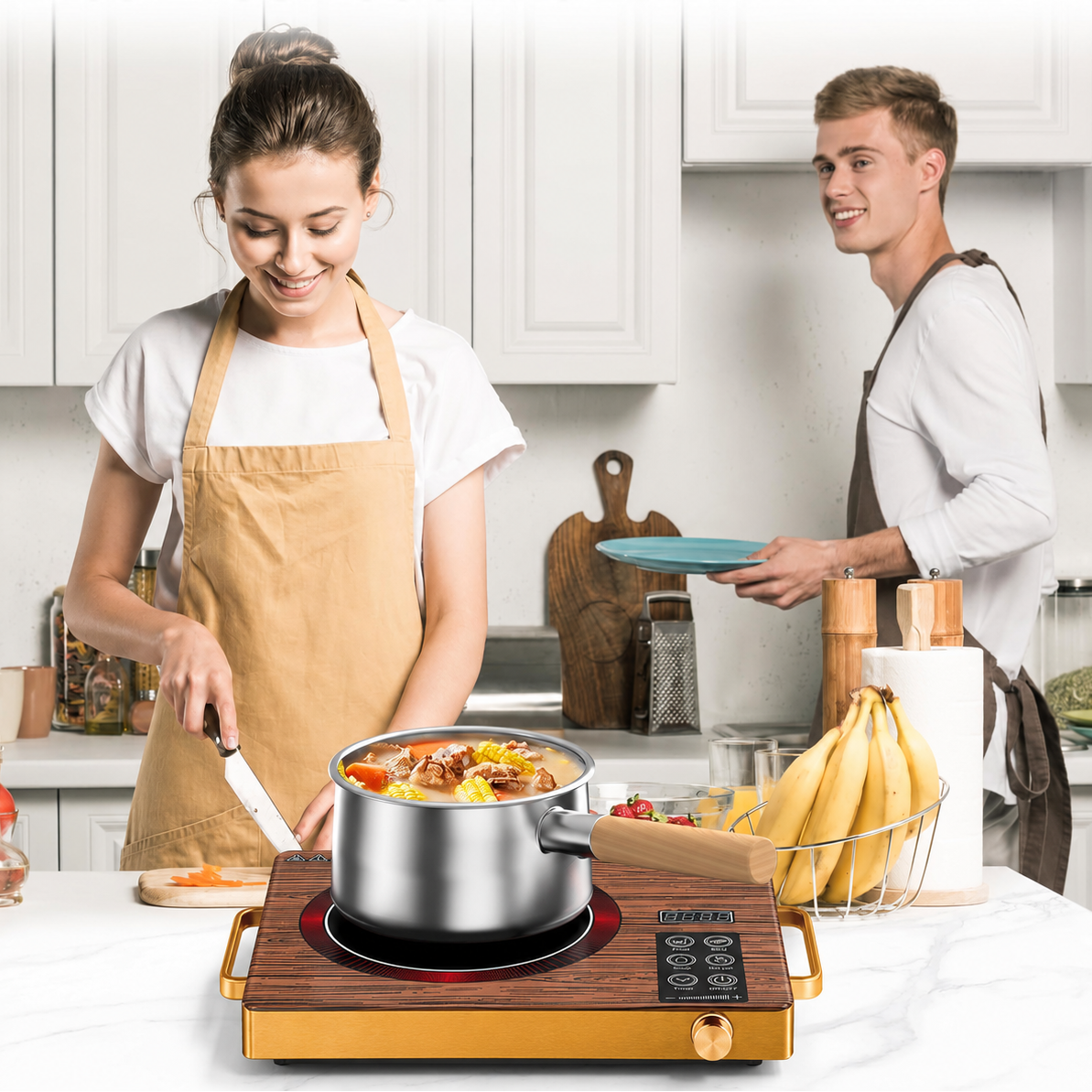 Electric Induction Cooker