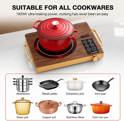 Electric Induction Cooker